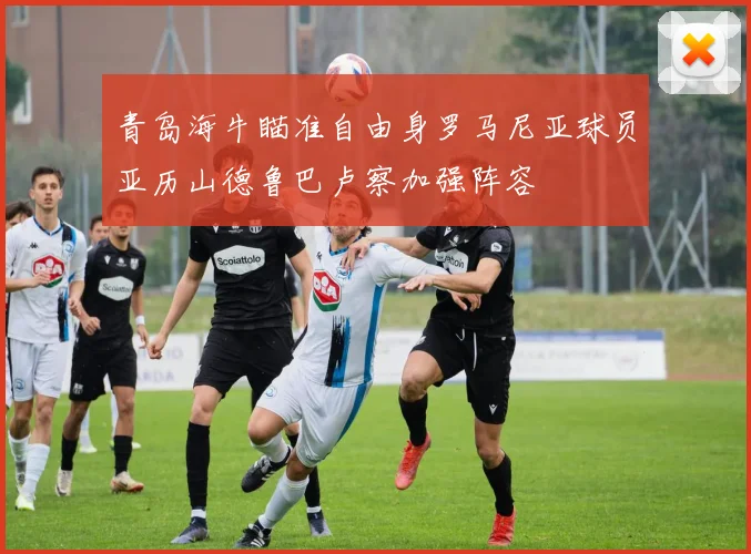 青岛海牛瞄准自由身罗马尼亚球员亚历山德鲁巴卢察加强阵容
